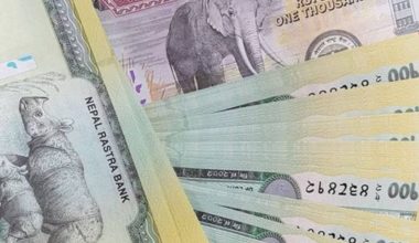 अर्थतन्त्रका केही प्रमुख क्षेत्रमा गर्नुपर्ने सुधार