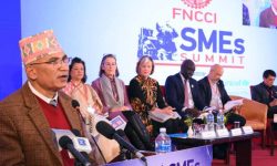 दश बुँदे घोषणापत्र जारी गर्दै सकियो साना तथा मझौला उद्यम सम्मेलन