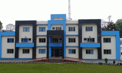 घरेलु हिंसासम्बन्धी कानुनमा एकरुपता ल्याउन जोड