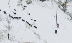 भारी हिमपातले कर्णाली र सुदूरपश्चिमको जनजीवन प्रभावित