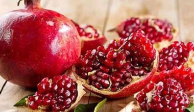 चालीस रोपनीमा अनार खेती गरेर आत्मनिर्भर