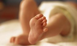 नवजात शिशु फेला