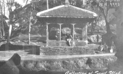 कता गए पाटि पौवा ?