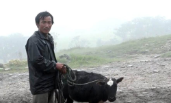 ‘कठै किसानको जिन्दगी दोर्जेको’