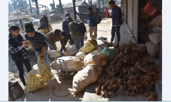 किसानलाई तरुल खन्न र बिक्री गर्न भ्याइ नभ्याइ