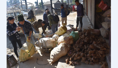 किसानलाई तरुल खन्न र बिक्री गर्न भ्याइ नभ्याइ