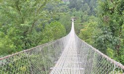 दार्चुलाको महाकालीमा दुई पुल सञ्चालनमा