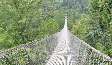 दार्चुलाको महाकालीमा दुई पुल सञ्चालनमा