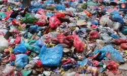 फोहरको उचित व्यवस्थापन नहुँदा दुर्गन्ध