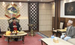 प्रधानमन्त्रीसँग गण्डकीका मुख्यमन्त्रीको भेटवार्ता