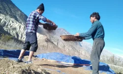 पानी र हिउँ नपर्दा म्याग्दी र मुस्ताङका किसान चिन्तित