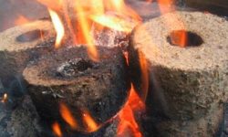 कोइला बालेर सुत्दा कोटेश्वरमा चार जना अचेत फेला