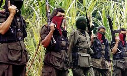 कोलम्बिया सरकार र विद्रोही समूहको शान्तिवार्ताको स्वागत