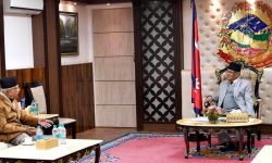 प्रधानमन्त्री दाहाल र अध्यक्ष ओली परामर्शमा