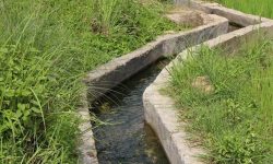 सिँचाइ कुलो निर्माणले किसान खुसी