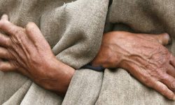 नवलपरासी पूर्वमा २८  उपचाररत