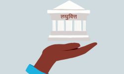 दुई लघुवित्तले गरे लाभांश घोषणा