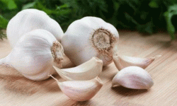 उपयोगी लसुन !