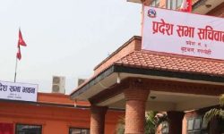 राष्ट्रियसभा सदस्य उपनिर्वाचनका लागि मनोनयन दर्ता गरिँदै