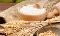 बजारमा मैदा-आँटाको चरम अभाव