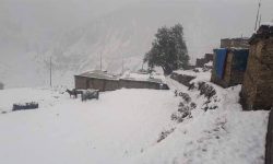 हिमपातले खाद्यान्न ढुवानी गर्न समस्या