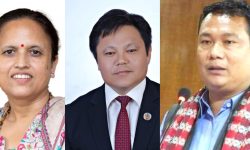 माओवादीले टुङ्ग्यायो मन्त्री, सञ्चारमा शर्मा