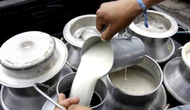 दूधको मूल्यवृद्धि स्थगन, अध्ययन गरेर मूल्य समायोजन गर्ने सहमति