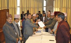 कांग्रेसकी मुक्ताकुमारीले दर्ता गराइन् उपसभामुखमा उम्मेदवारी