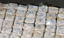 तेहरानमा २४६ किलो अफिम बरामद