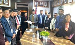 ‘गैरआवासीय नेपालीको लगानी भित्र्याउन देखा परेका समस्याबारे छलफल गराैँ’