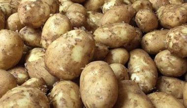 बारामा एक लाख २१ हजार मेट्रिक टन आलु उत्पादन