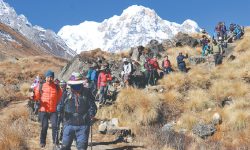 रसुवामा चिसो बढेसँगै घटे आन्तरिक एवं बाह्य पर्यटक