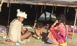 पैसा र मदिराले सकिदै गएका राउटे