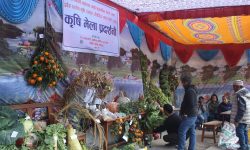 कृषि मेला प्रदर्शनी !