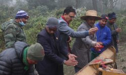 अब नवलपुरबाट चितवन निकुञ्जमा जंगल सफारी