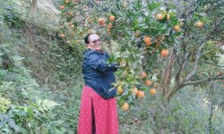 २९ वर्ष बालबालिकासँग, अहिले सुन्तलासँग रमाउँदै ‘तारा’