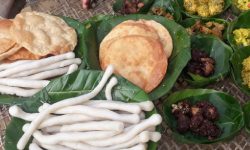 थारु संस्कृति जोगाउन भैरहवामा माघ महोत्सव