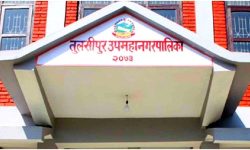 ऐलानी जग्गामा बनेका घरबाट कर उठाइँदै