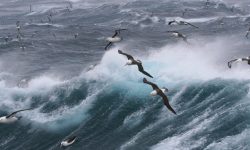 क्यालिफोर्नियामा आँधी : १९ जनाको मृत्यु, २० हजार घरमा विजुली अबरुद्ध