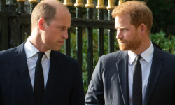 दाजुको भौतिक आक्रमणमा परेको पूर्वराजकुमार ह्यारीको गुनासो