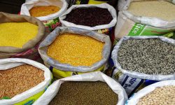 विश्व खाद्य दिवस आज मनाइँदै