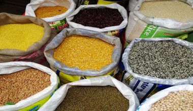 विश्व खाद्य दिवस आज मनाइँदै