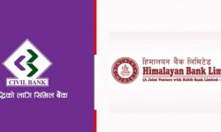 एकीकृत कारोबार फागुन १२ गते हुने