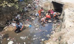 फोहरमा पनि सुन फल्छ !