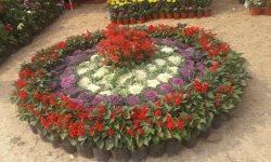 फूलको सजावट