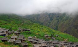 हिउँदे पानी नपर्दा खाद्यान्नबाली प्रभावित