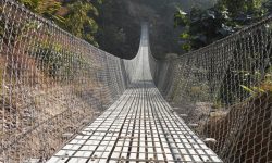 राजधानी मै झोलुङ्गे पुलको माग