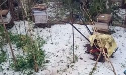 तनहुँमा बिहीबार सॉझ परेको असिना