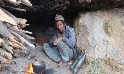 एकवर्षदेखि ओढारको बास