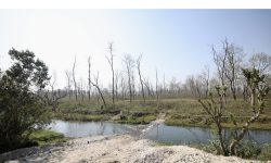 प्रस्तावित सुख्खा बन्दरगाहा निर्माणस्थल क्षेत्र